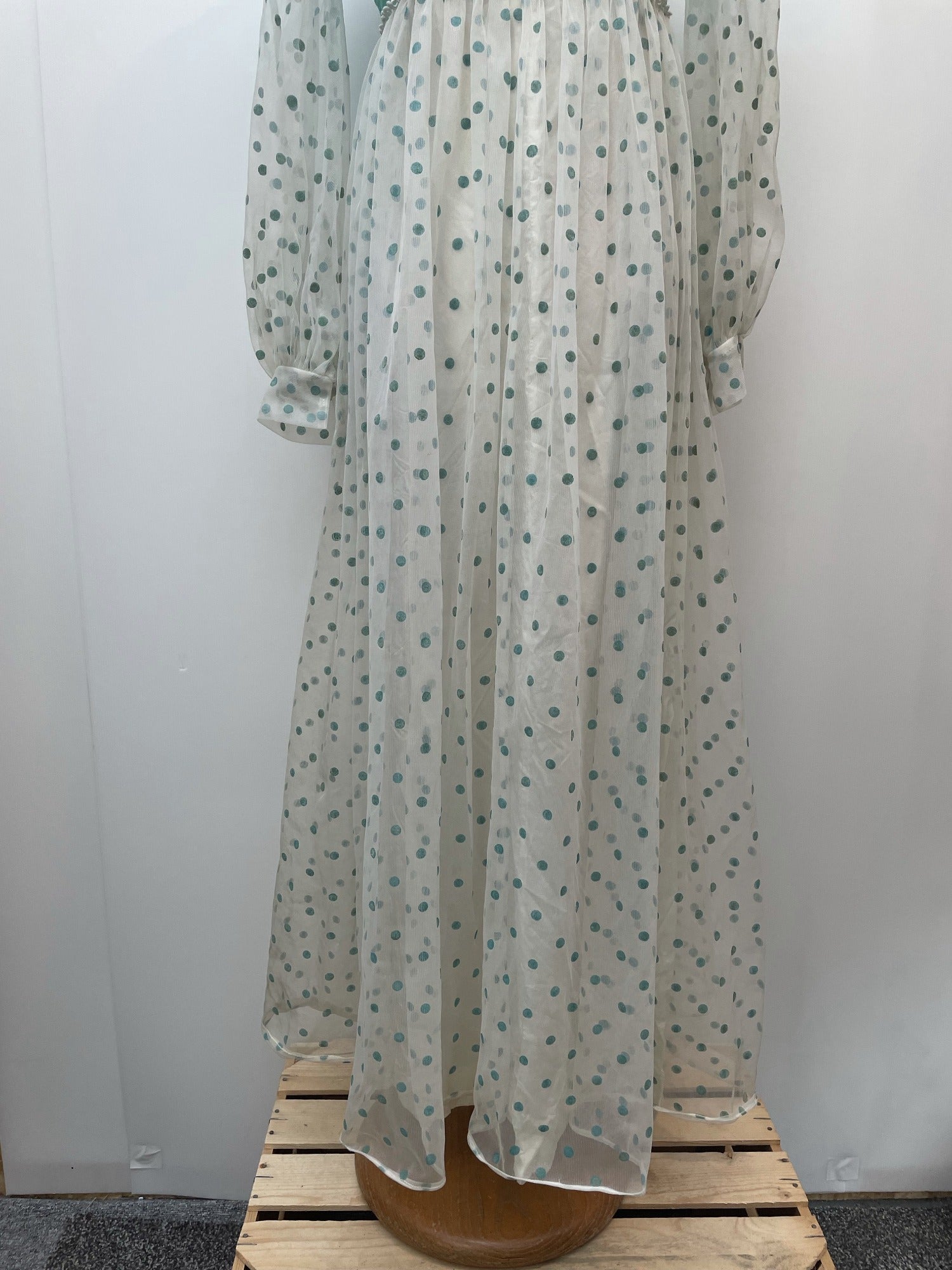 zip back  zip  womens  vintage  Urban Village Vintage  urban village  sheer  semi sheer  Polka Dot  maxi dress  maxi  long sleeve  Green  dress  balloon sleeves  balloon sleeve  balloon  70s  10
