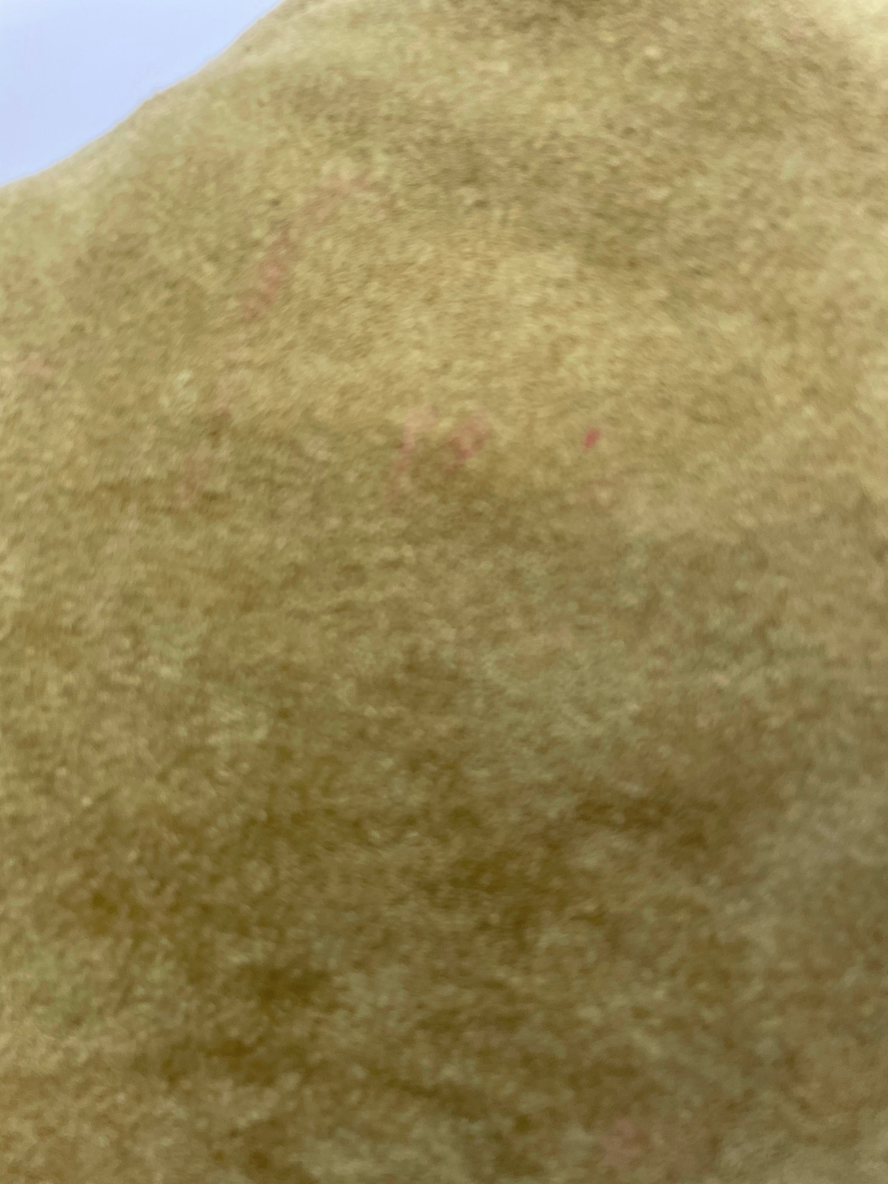 1970s Suede Fringed Waistcoat - Size L